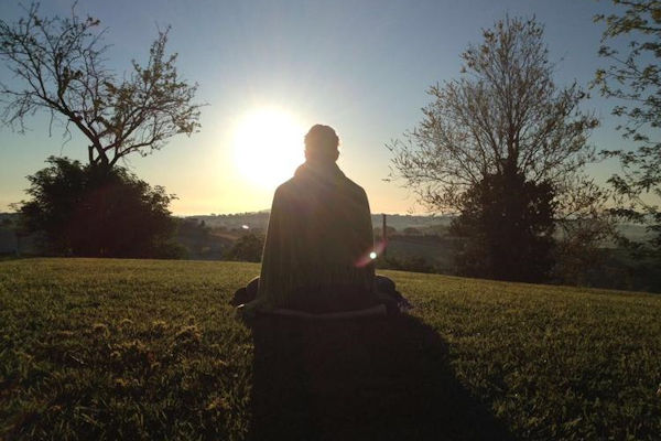 Meditatie in weiland